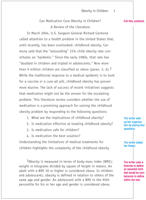 Example of an essay paper in apa format