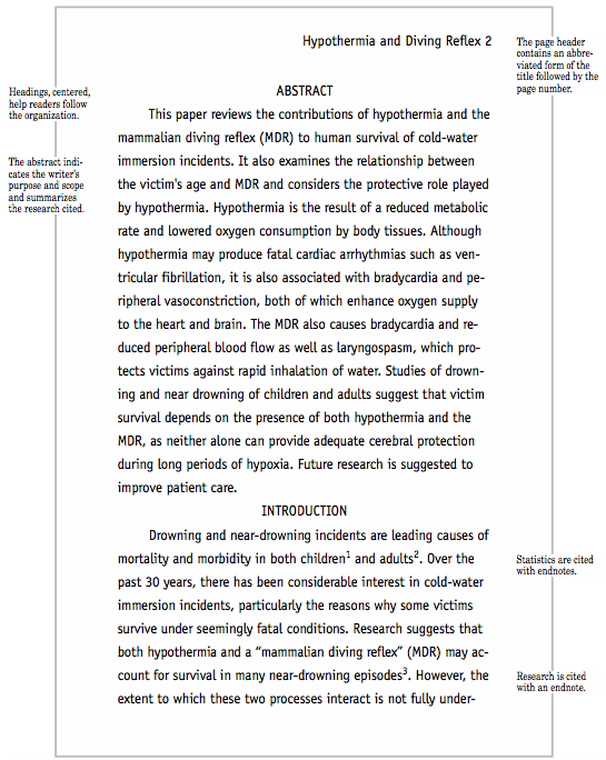 Scientific essay format example