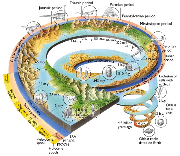 Timeline Of Life Evolution On Earth Motivational Stories