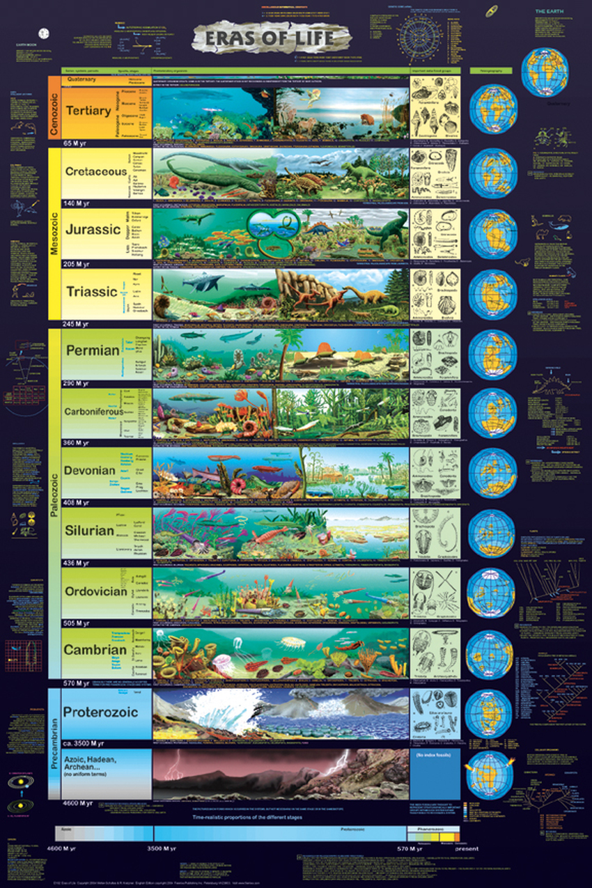 Timeline of life evolution on earth - Motivation