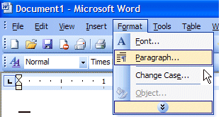 word2003-doublespace1